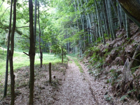 画像24